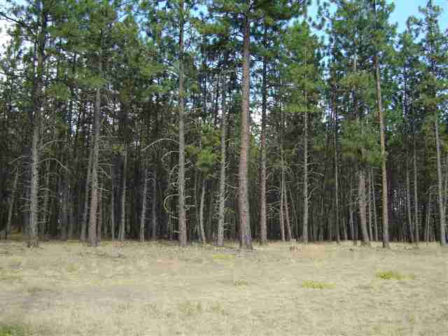 91-xx West Rutter Parkway Spokane, WA 99208 - Photo 1 of 9