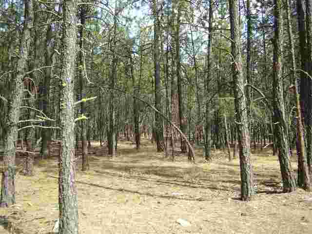 91-xx West Rutter Parkway Spokane, WA 99208 - Photo 3 of 9