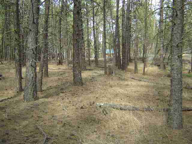 91-xx West Rutter Parkway Spokane, WA 99208 - Photo 4 of 9