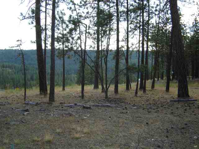 91-xx West Rutter Parkway Spokane, WA 99208 - Photo 5 of 9