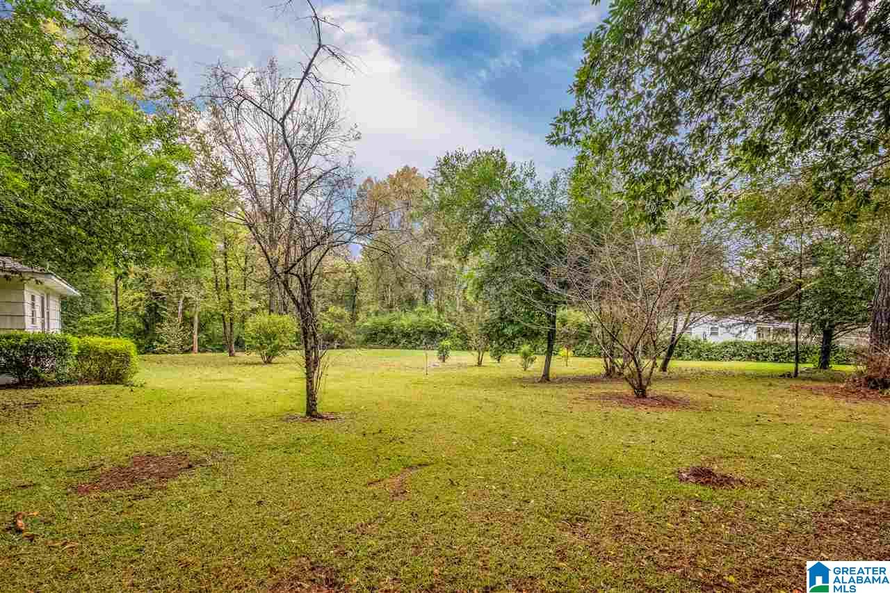 1110 Montevallo Road Leeds, AL 35094 - Photo 6 of 28