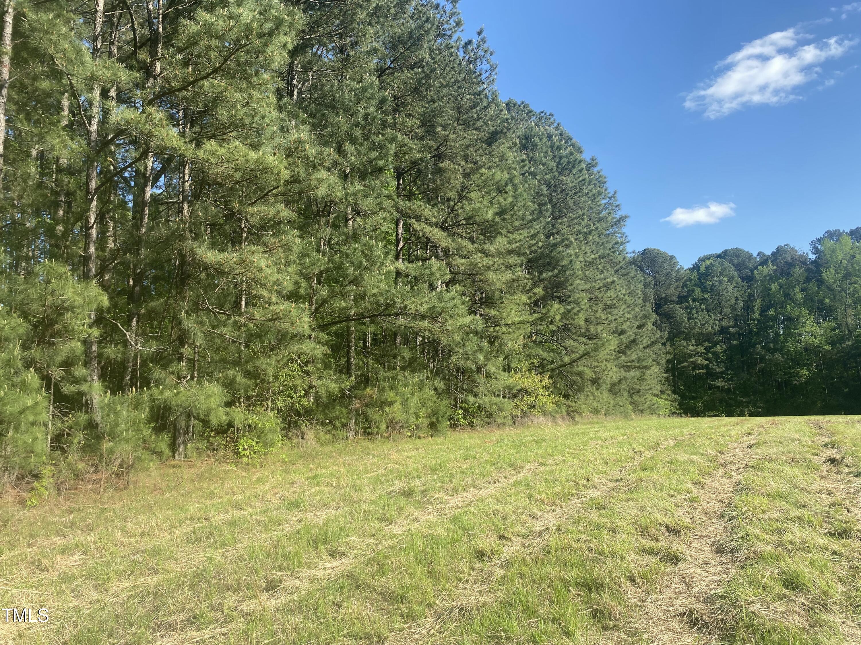 220 Curlew Drive Chapel Hill, NC 27517 - Photo 3 of 11 20128BB3-3A51-4885-8EA3-15ADE9F2DC18