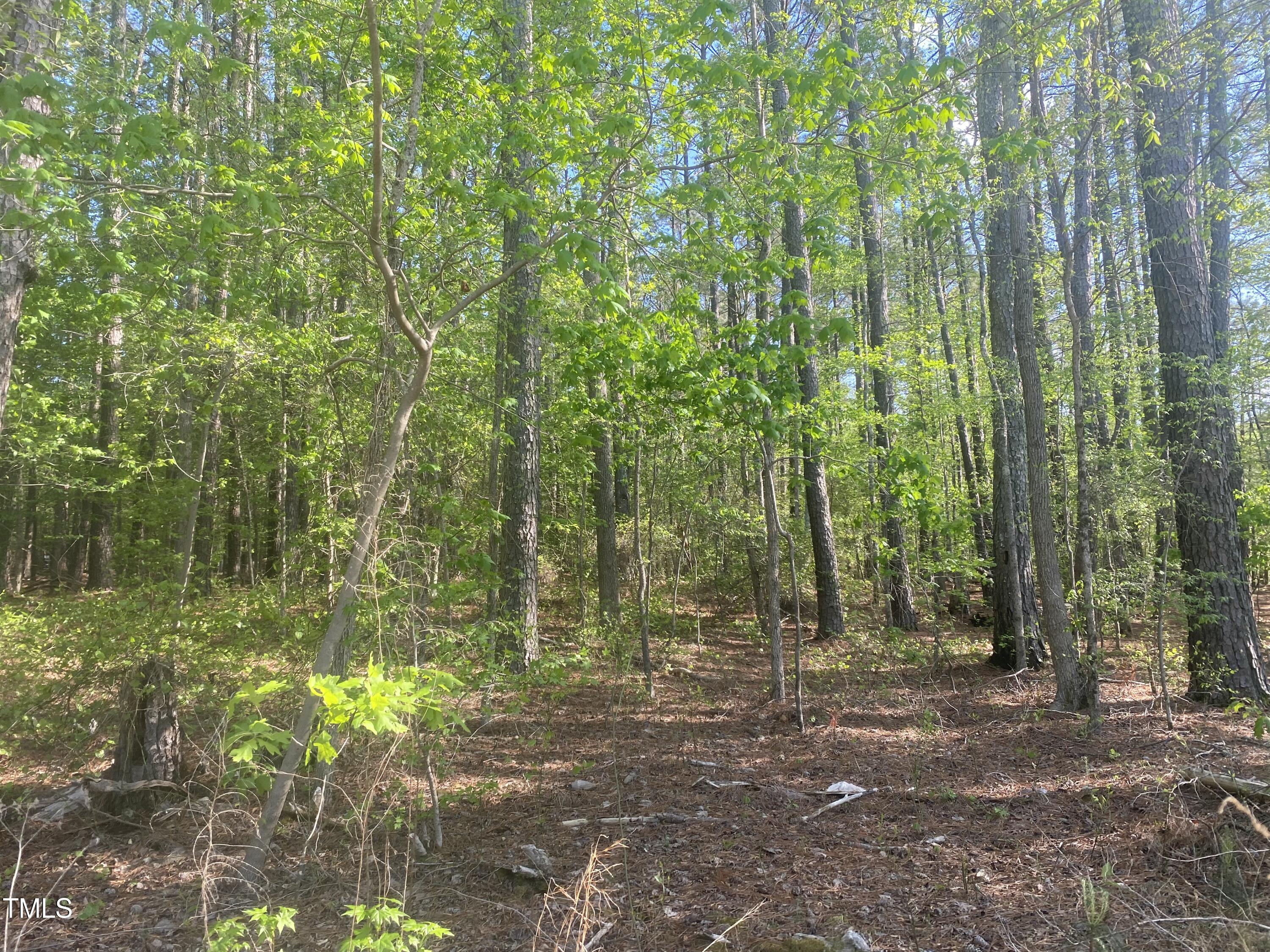 220 Curlew Drive Chapel Hill, NC 27517 - Photo 5 of 11 F68DA1C8-CA3C-498C-928B-A61211176A80