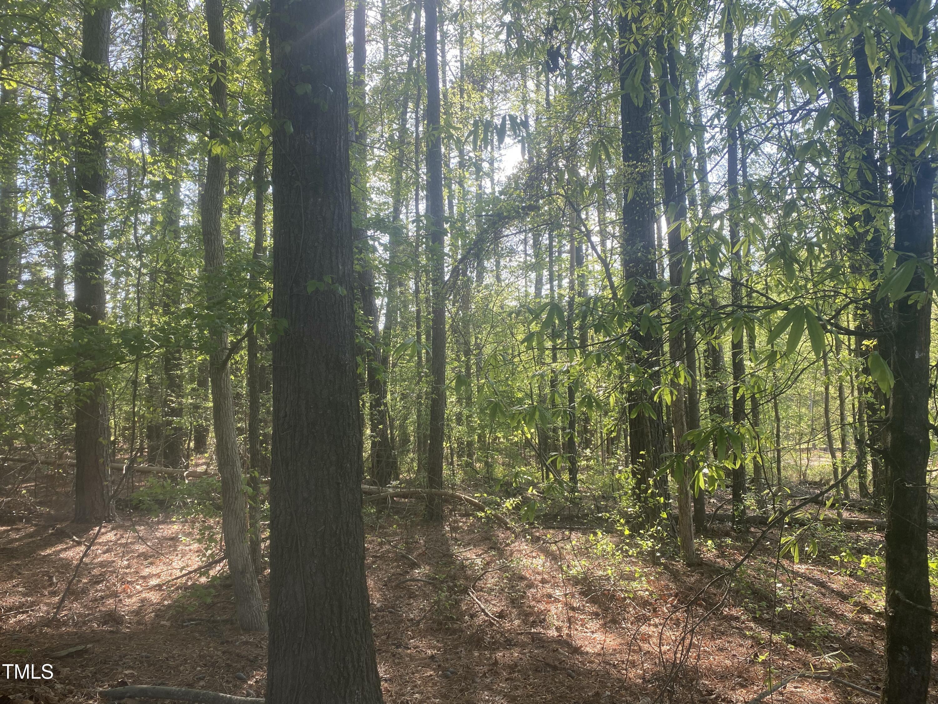 220 Curlew Drive Chapel Hill, NC 27517 - Photo 9 of 11 88C696E9-1FF5-4EEF-B364-668C499B3584