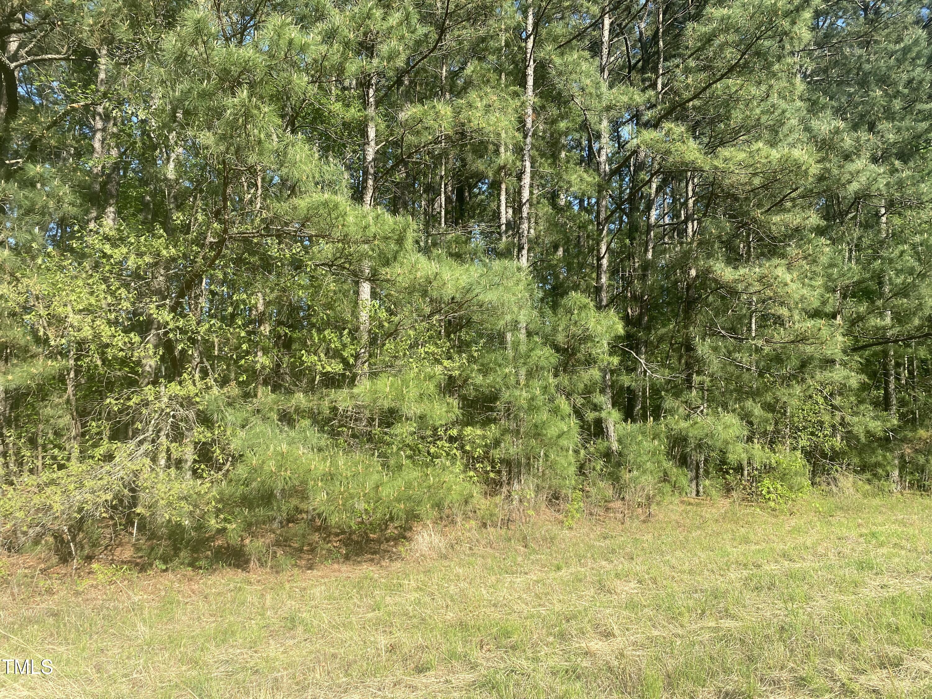 220 Curlew Drive Chapel Hill, NC 27517 - Photo 10 of 11 1FBA4198-53FF-4AD3-A883-5BF95BC659C1