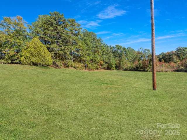 a view of a field with an tree