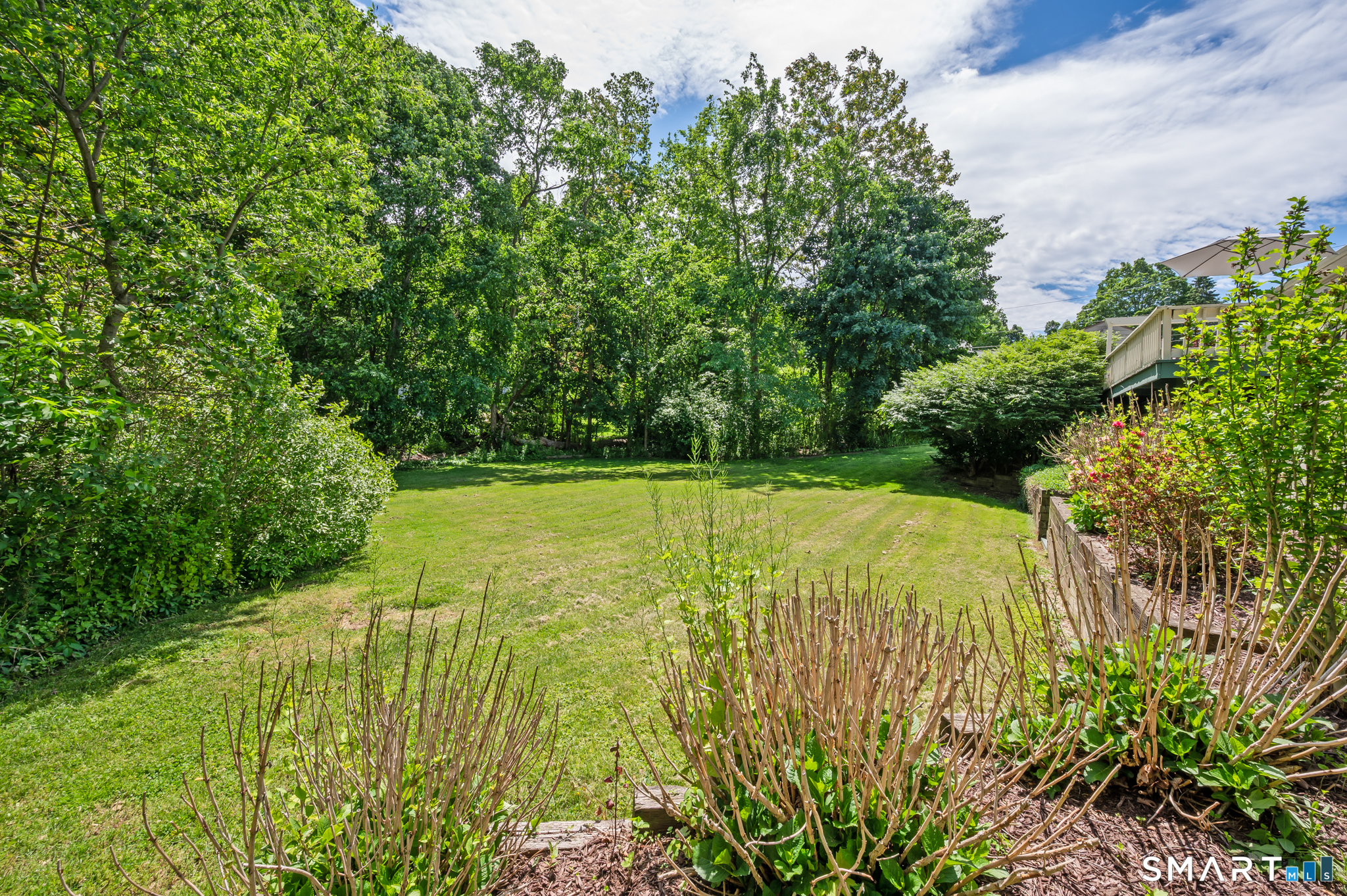 1611 Shepard Avenue Hamden, CT 06518 - Photo 28 of 31 a view of a yard with plants and large trees