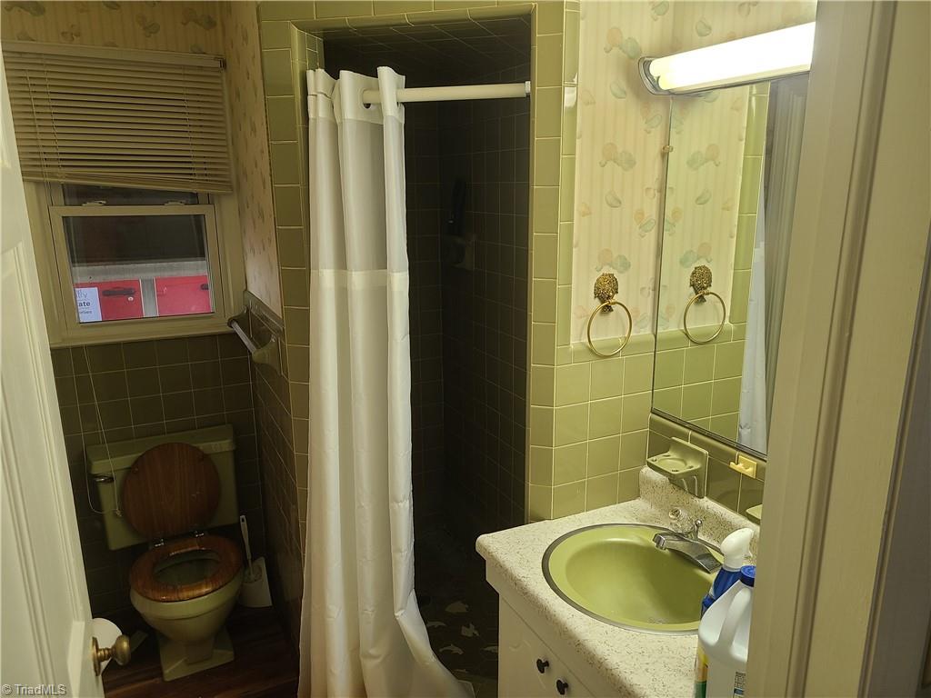 3179 Moores Spring Road Westfield, NC 27053 - Photo 16 of 30 Gallery Image 16