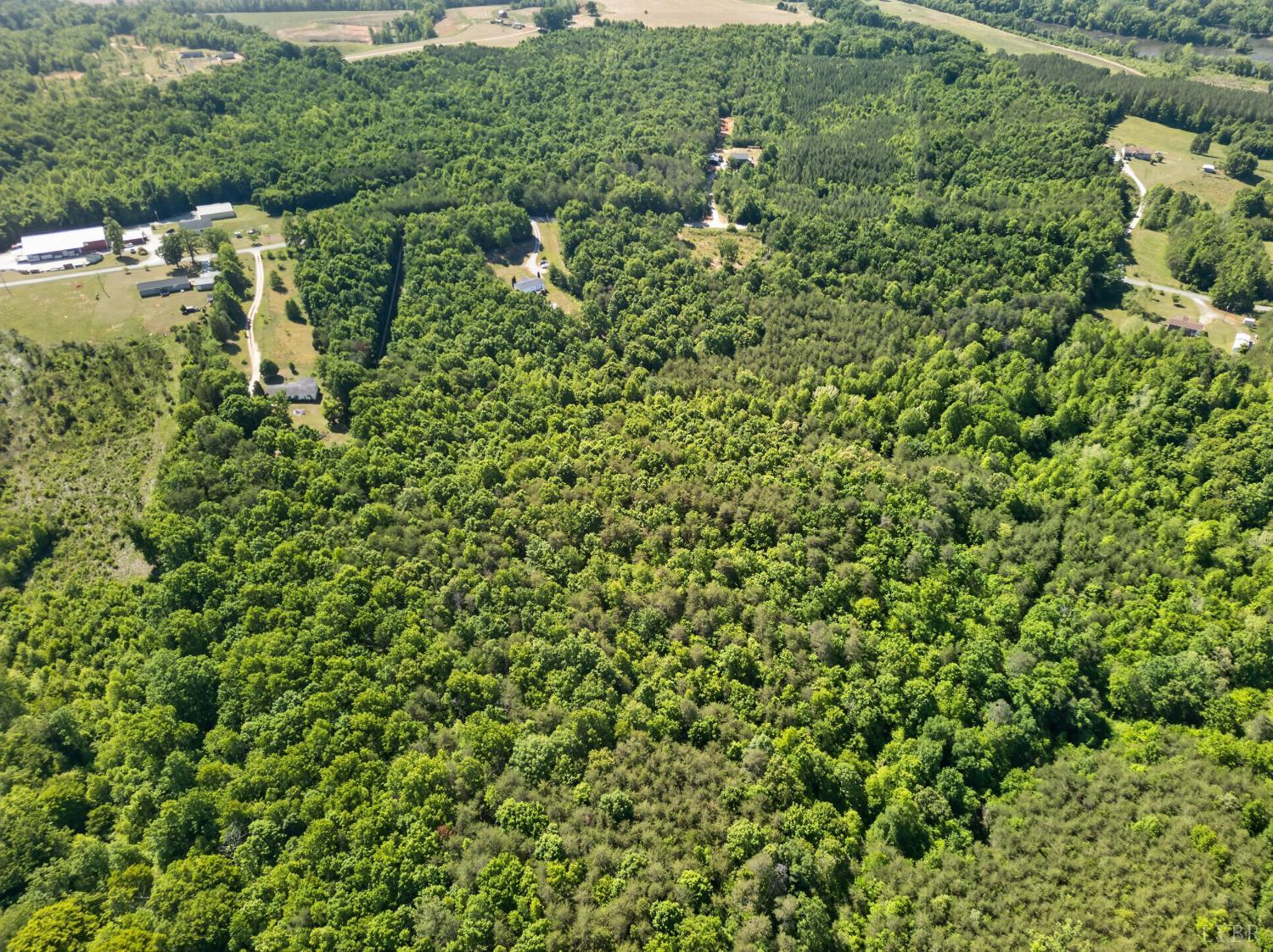 1811 Mohawk Road Gladys, VA 24554 - Photo 45 of 51 a view of a forest with a houses