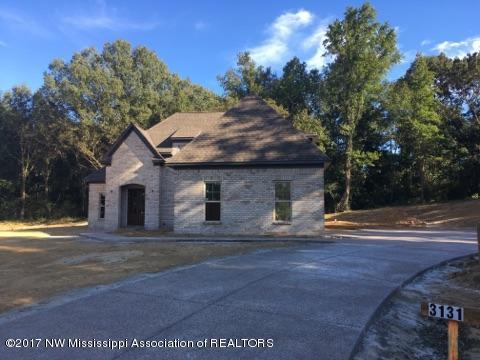 3131 Nikki Ridge Drive Nesbit, MS 38651 - Photo 5 of 19 IMG_6063