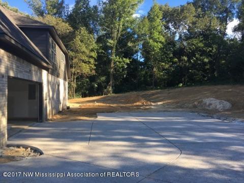 3131 Nikki Ridge Drive Nesbit, MS 38651 - Photo 6 of 19 IMG_6065