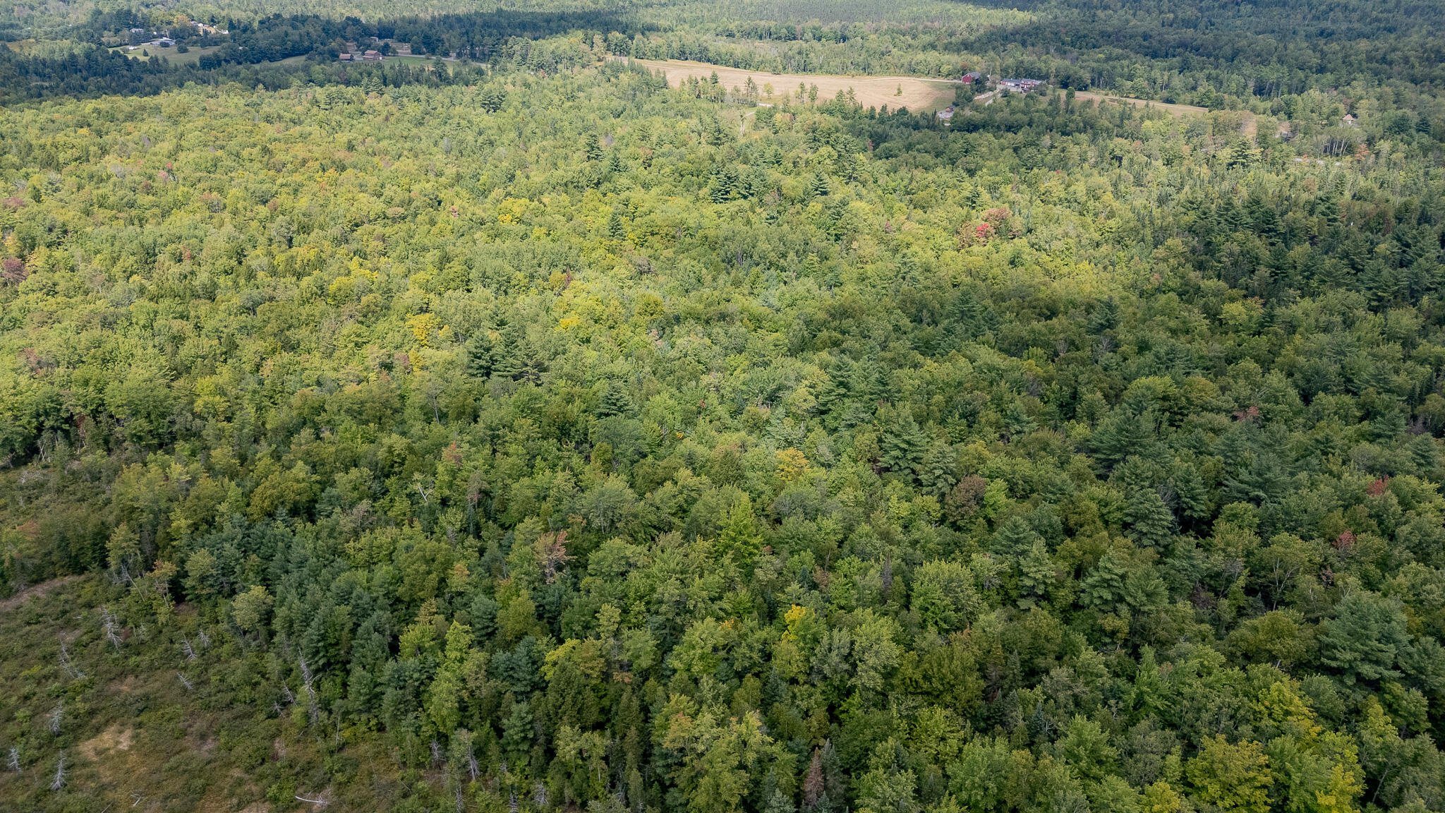 1174 Notch Road Canaan, ME 04924 - Photo 57 of 60 DJI_20260904123909_0953_D