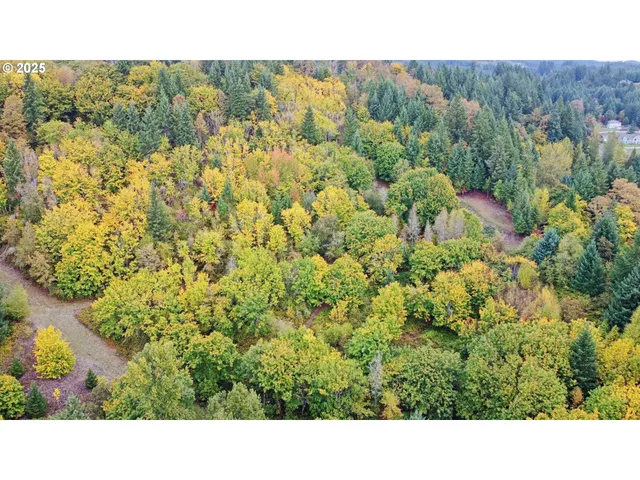 a open area with a yard and mountain view