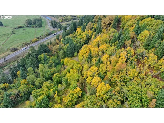 a open area with a yard