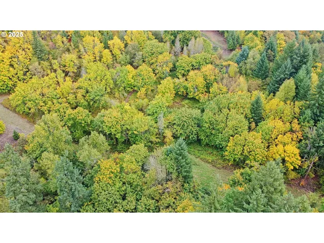 a open area with trees in the background