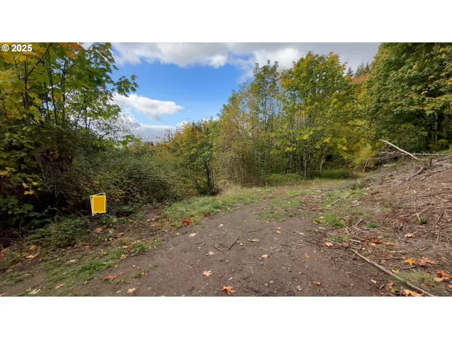 a black and white photo of a field