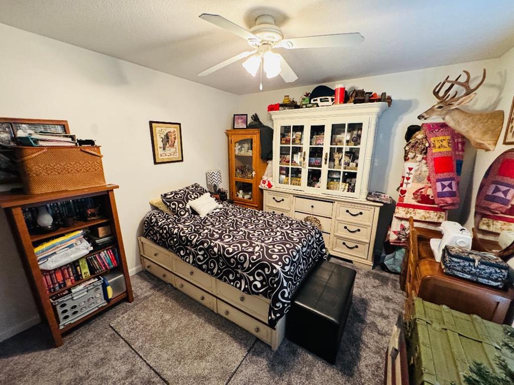 2045 Senior Road Woodlawn, VA 24381 - Photo 45 of 61 Gallery Image 45