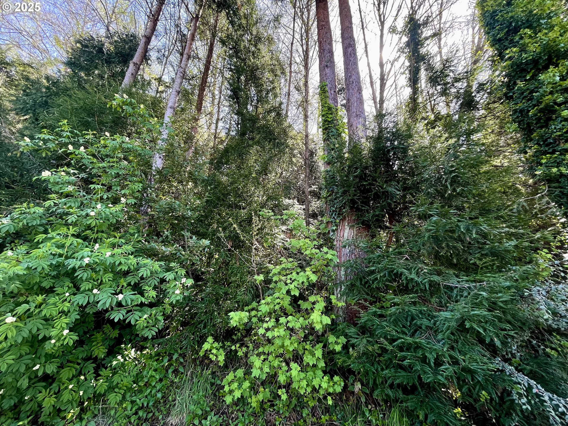 Crestline Loop Brookings, OR 97415 - Photo 11 of 14