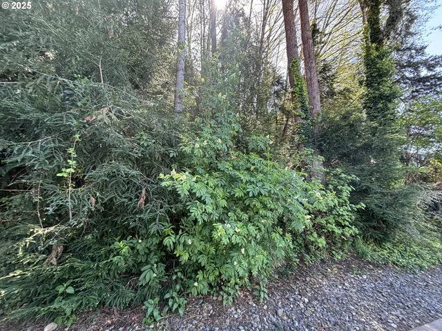 $135,000 | Crestline Loop, Brookings, OR 97415