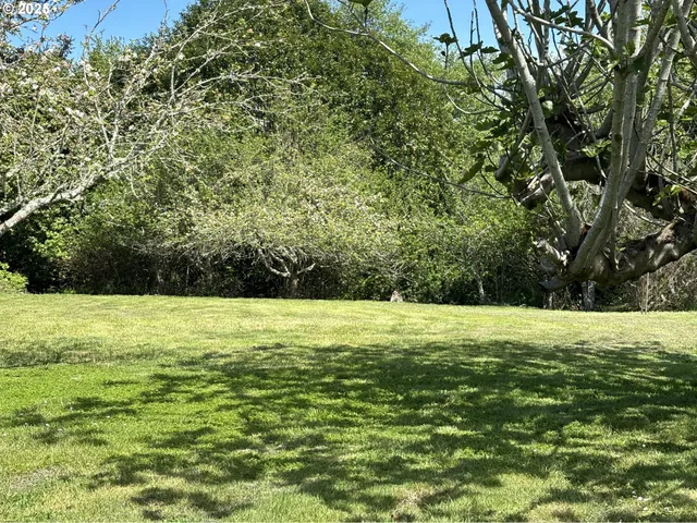 a backyard of a house with lots of green space
