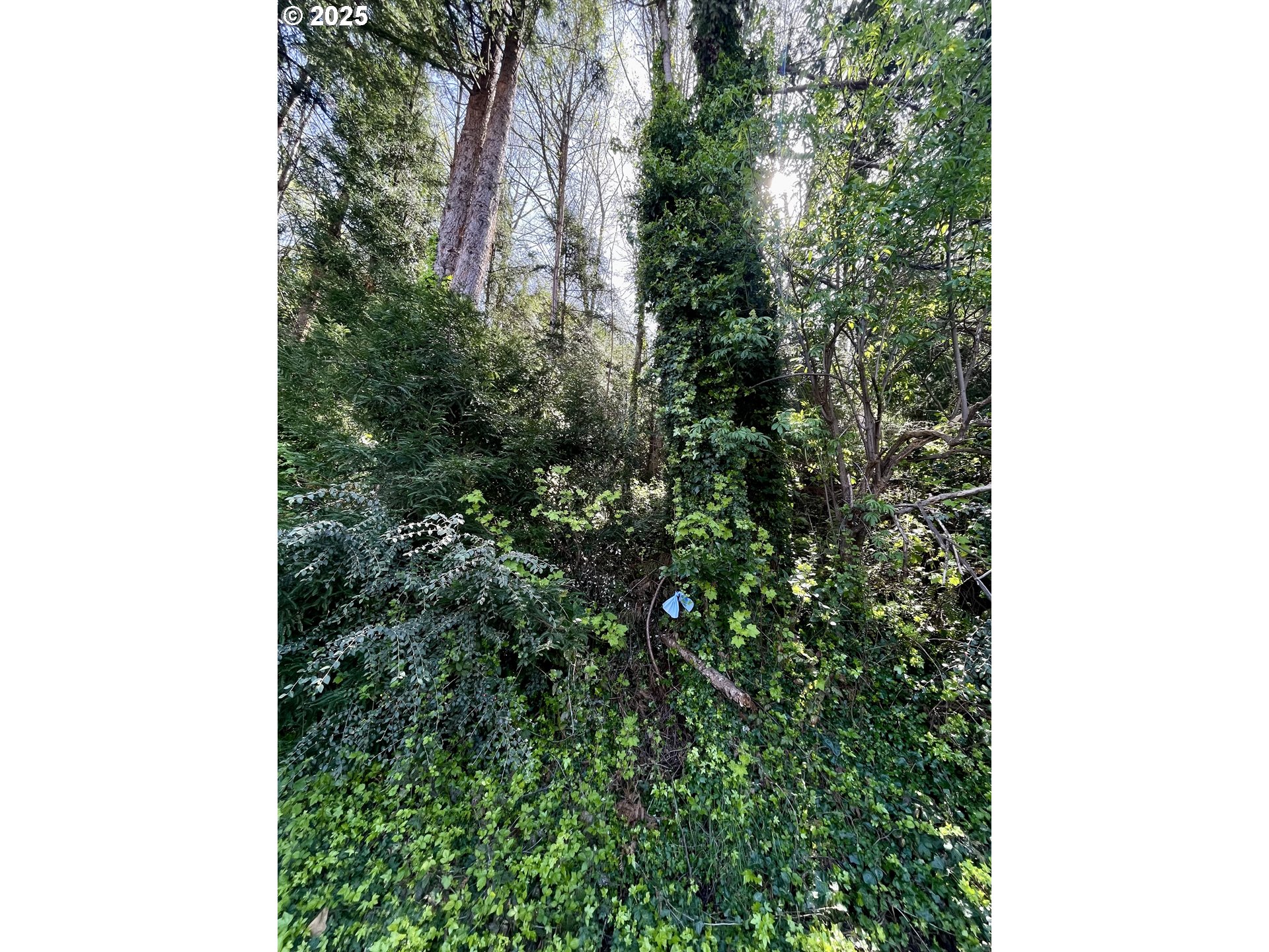 Crestline Loop Brookings, OR 97415 - Photo 10 of 14