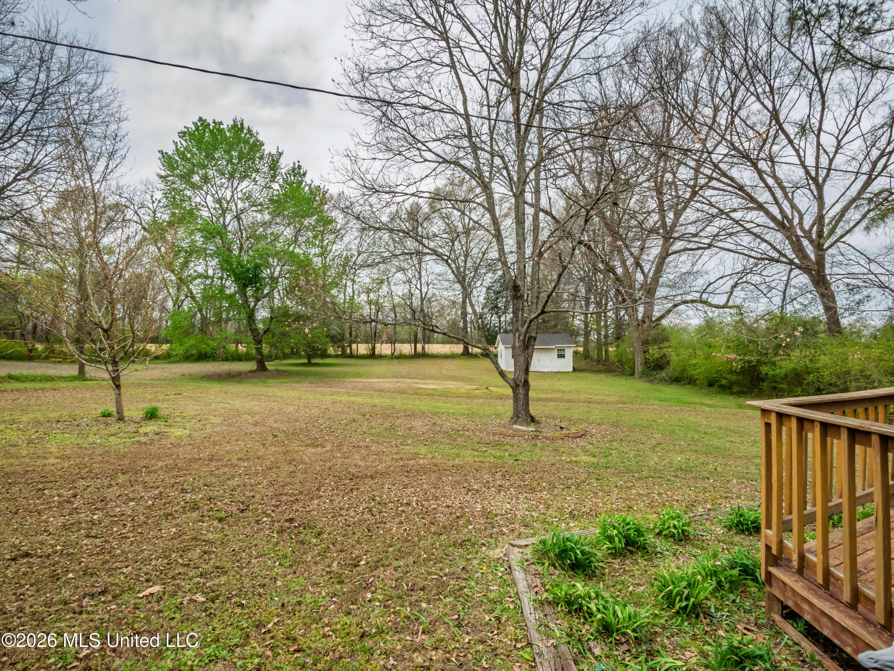 313 North Main Street Sardis, MS 38666 - Photo 55 of 86 313 N Main St Sardis MS_2026-03-24_55