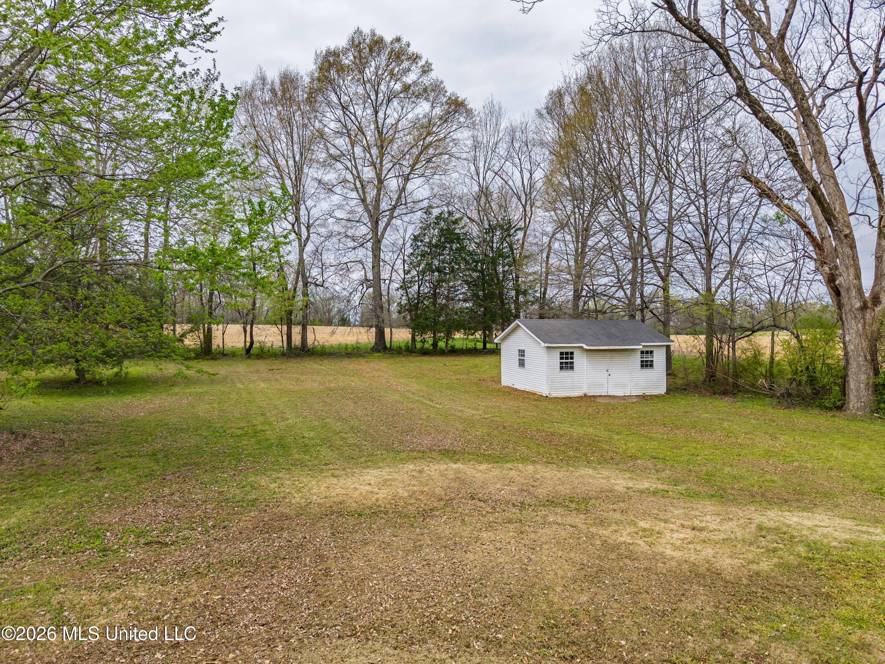 313 North Main Street Sardis, MS 38666 - Photo 71 of 86 313 N Main St Sardis MS_2026-03-24_71