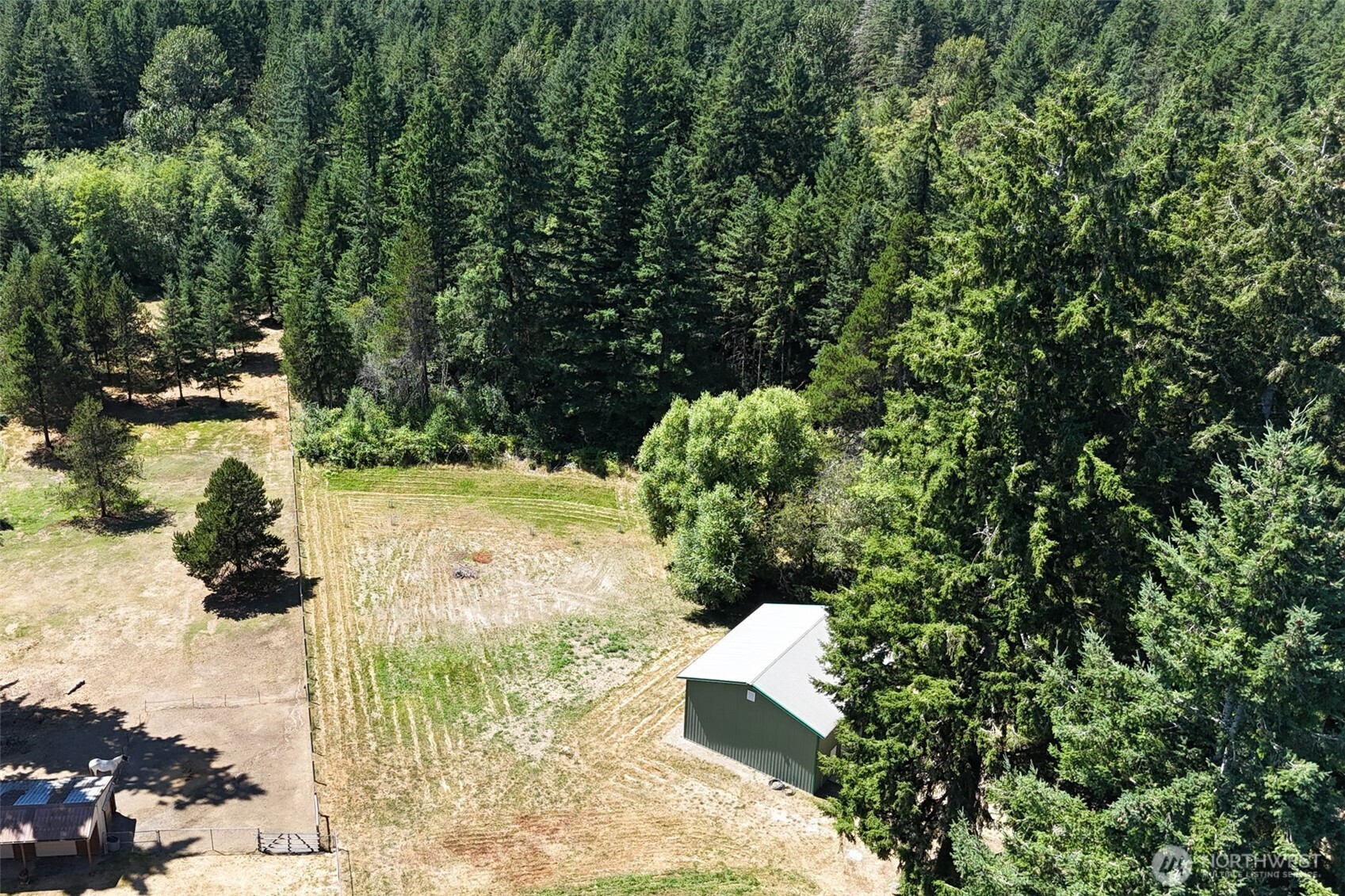 13818 Glenwood Road Southwest Port Orchard, WA 98367 - Photo 36 of 40 a view of yard along with trees