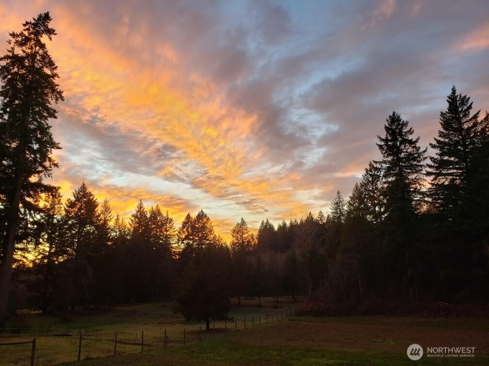13818 Glenwood Road Southwest Port Orchard, WA 98367 - Photo 38 of 40 a view of a yard