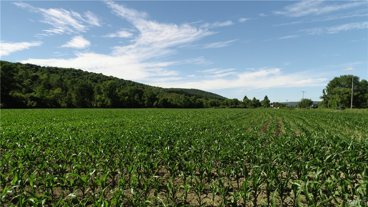 0 Lafayette Road Syracuse, NY 13205 - Photo 1 of 1 Gallery Image 1