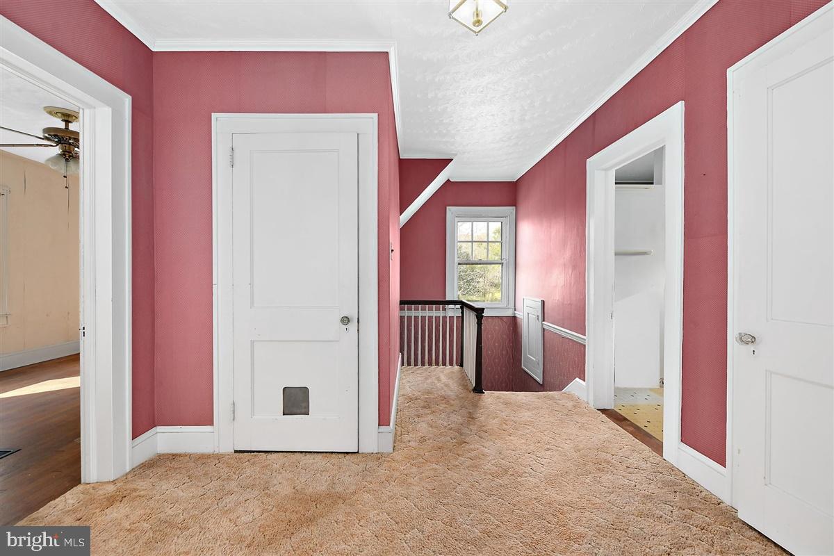 5933 George Island Landing Road Stockton, MD 21864 - Photo 18 of 48