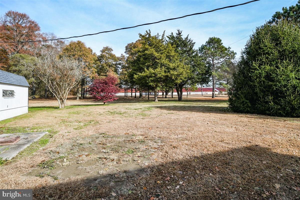 5933 George Island Landing Road Stockton, MD 21864 - Photo 24 of 48