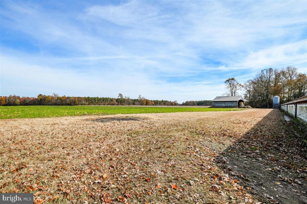 5933 George Island Landing Road Stockton, MD 21864 - Photo 44 of 48