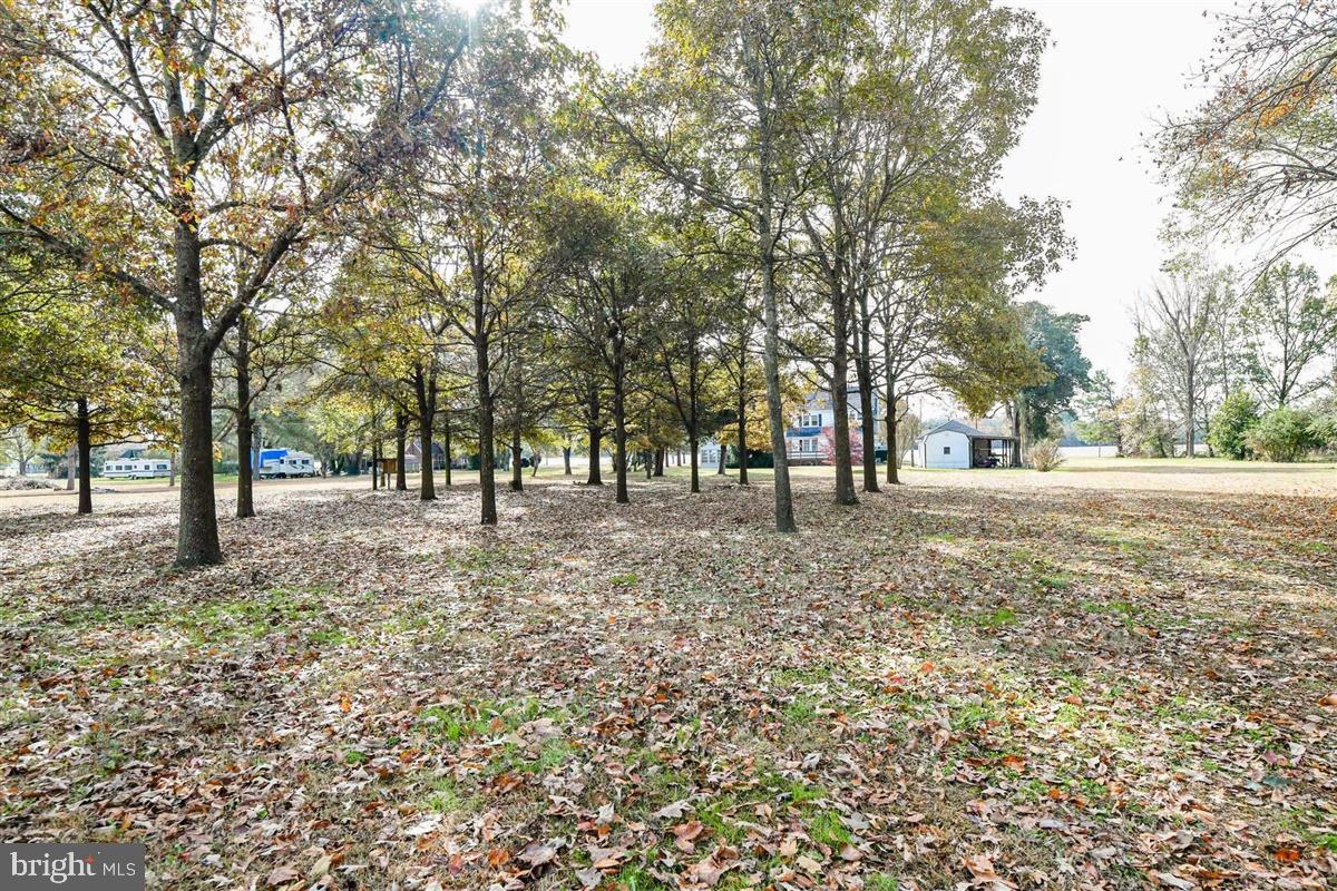 5933 George Island Landing Road Stockton, MD 21864 - Photo 46 of 48