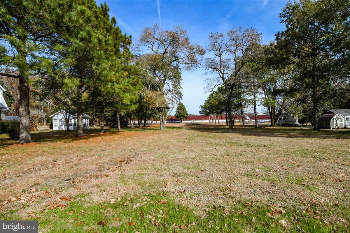 5933 George Island Landing Road Stockton, MD 21864 - Photo 47 of 48