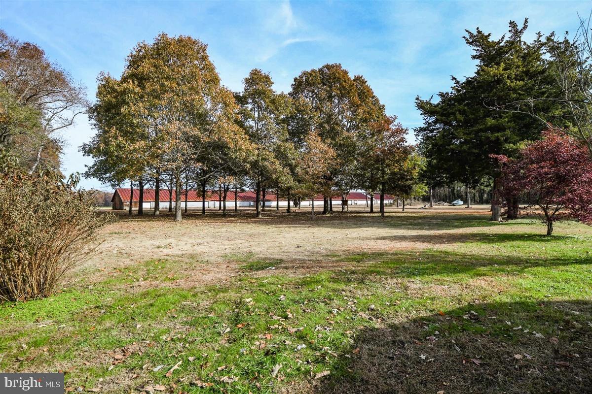5933 George Island Landing Road Stockton, MD 21864 - Photo 6 of 48