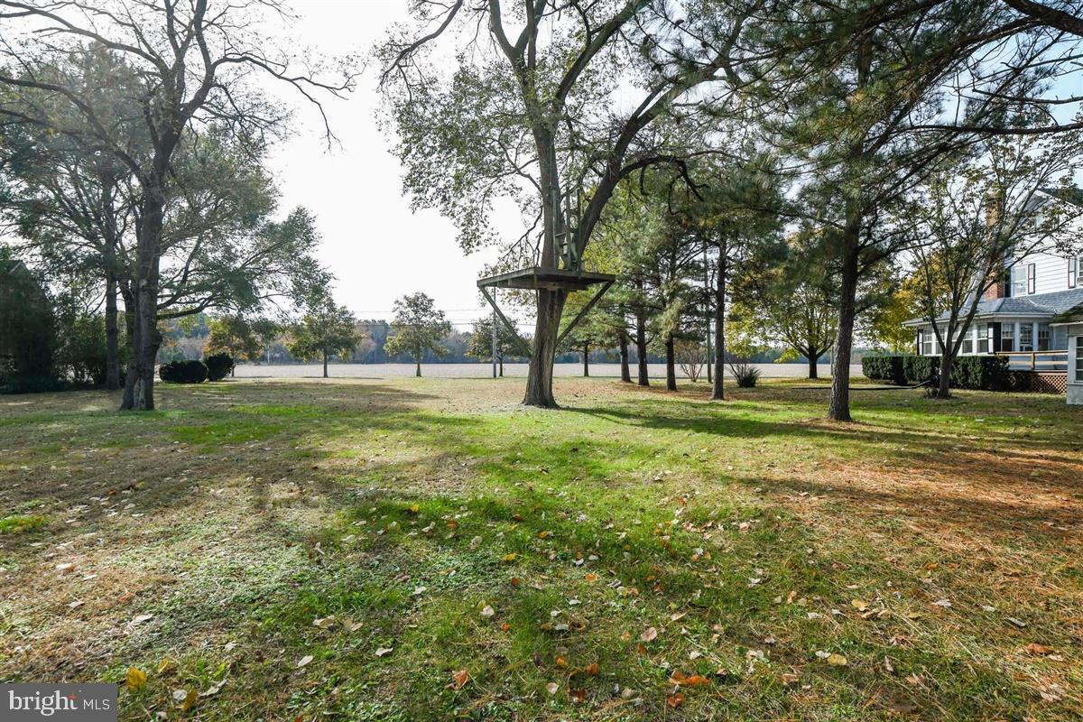 5933 George Island Landing Road Stockton, MD 21864 - Photo 8 of 48