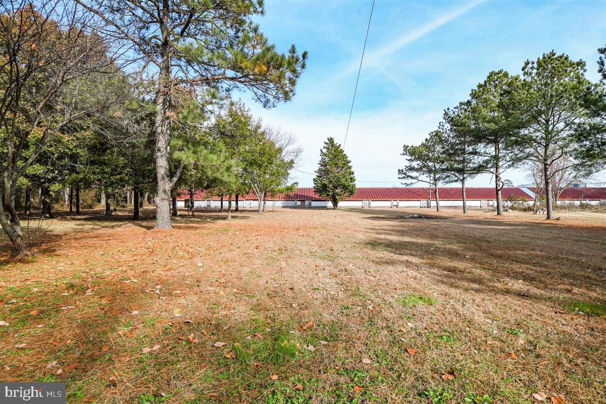 5933 George Island Landing Road Stockton, MD 21864 - Photo 10 of 48