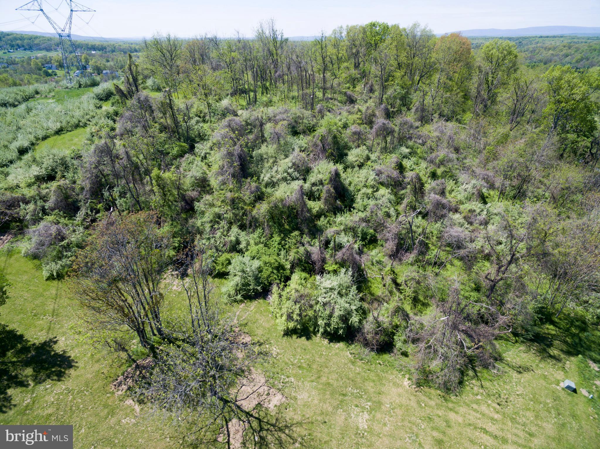 2831 Apple Pie Ridge Road Winchester, VA 22603 - Photo 30 of 31