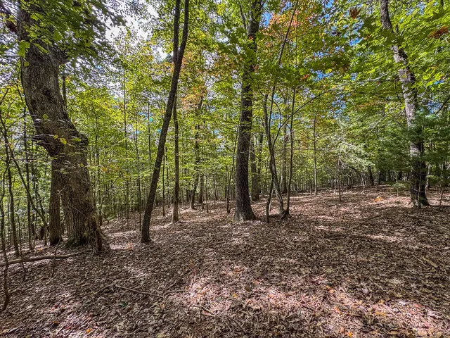 $89,000 | 0 Wolf Print Ridge, Murphy, NC 28906