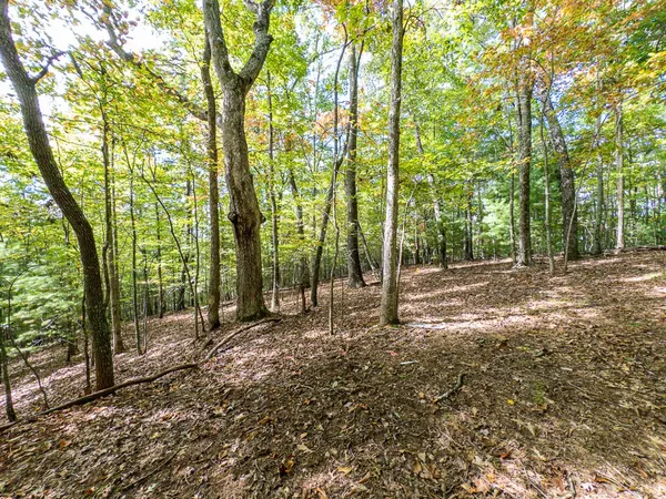 $89,000 | 0 Wolf Print Ridge, Murphy, NC 28906