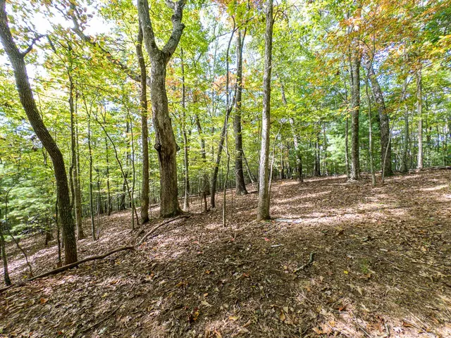 $89,000 | 0 Wolf Print Ridge, Murphy, NC 28906