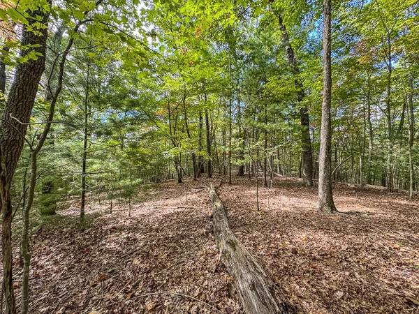 $89,000 | 0 Wolf Print Ridge, Murphy, NC 28906