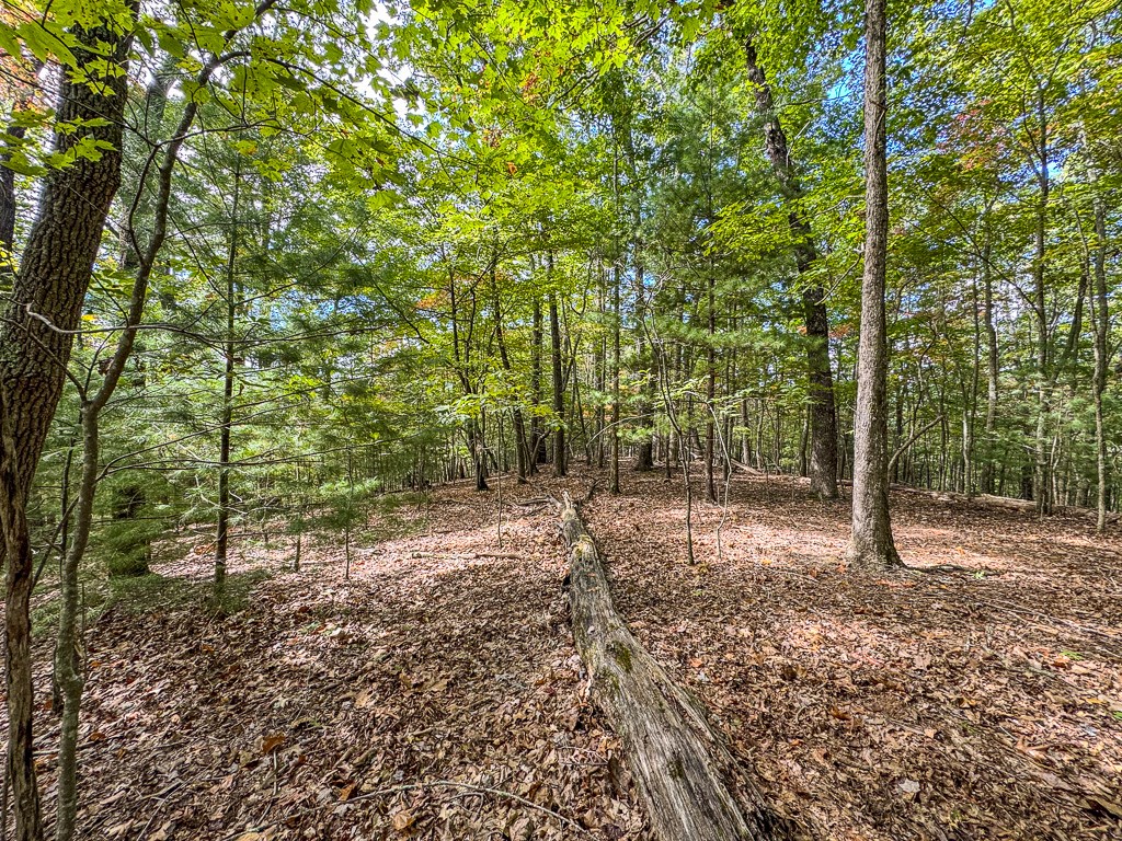 0 Wolf Print Ridge Murphy, NC 28906 - Photo 13 of 17