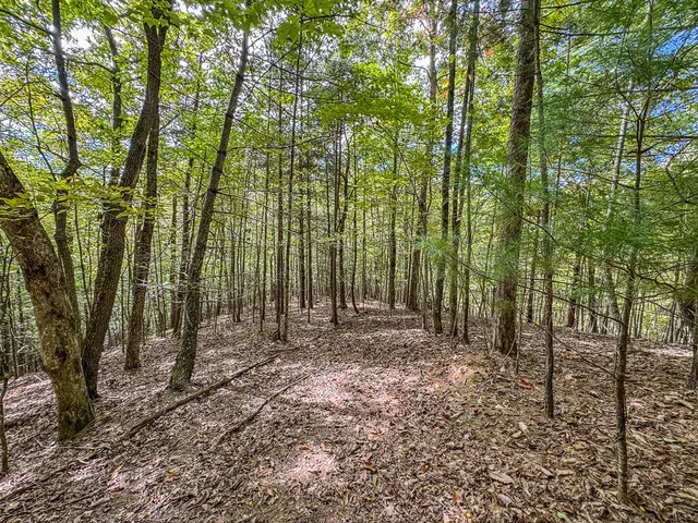 $89,000 | 0 Wolf Print Ridge, Murphy, NC 28906