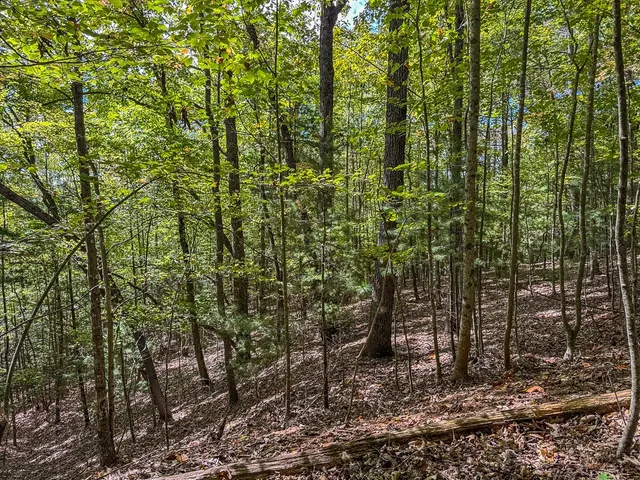 $89,000 | 0 Wolf Print Ridge, Murphy, NC 28906