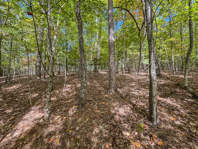 $89,000 | 0 Wolf Print Ridge, Murphy, NC 28906