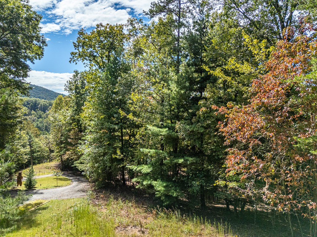 0 Wolf Print Ridge Murphy, NC 28906 - Photo 3 of 17