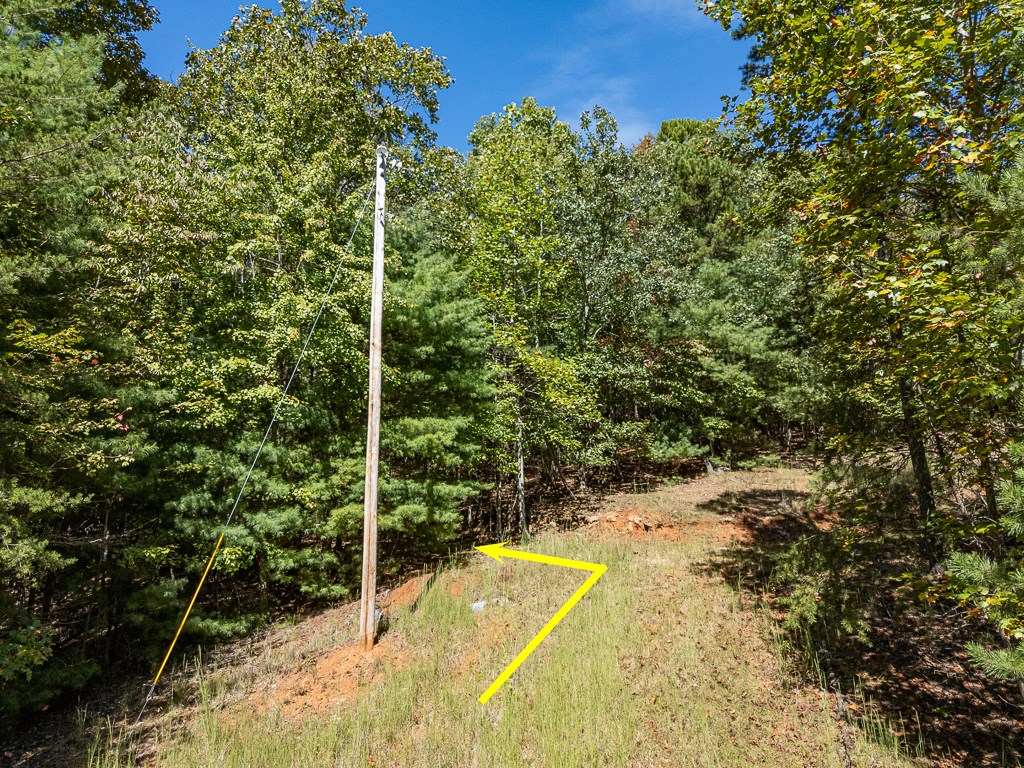 0 Wolf Print Ridge Murphy, NC 28906 - Photo 4 of 17