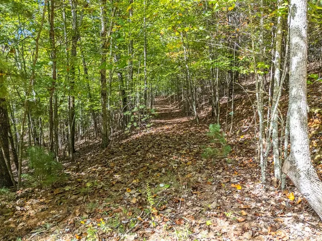 $89,000 | 0 Wolf Print Ridge, Murphy, NC 28906